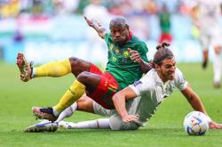 开云体育-埃及队奋力晋级非洲杯半决赛，球迷沸腾欢呼！