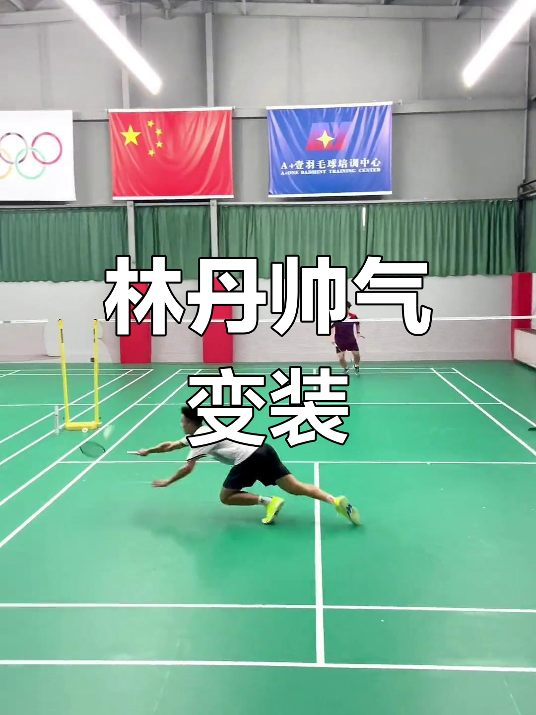 包含法国羽毛球队险胜泰国羽毛球队，林丹制霸全场的词条