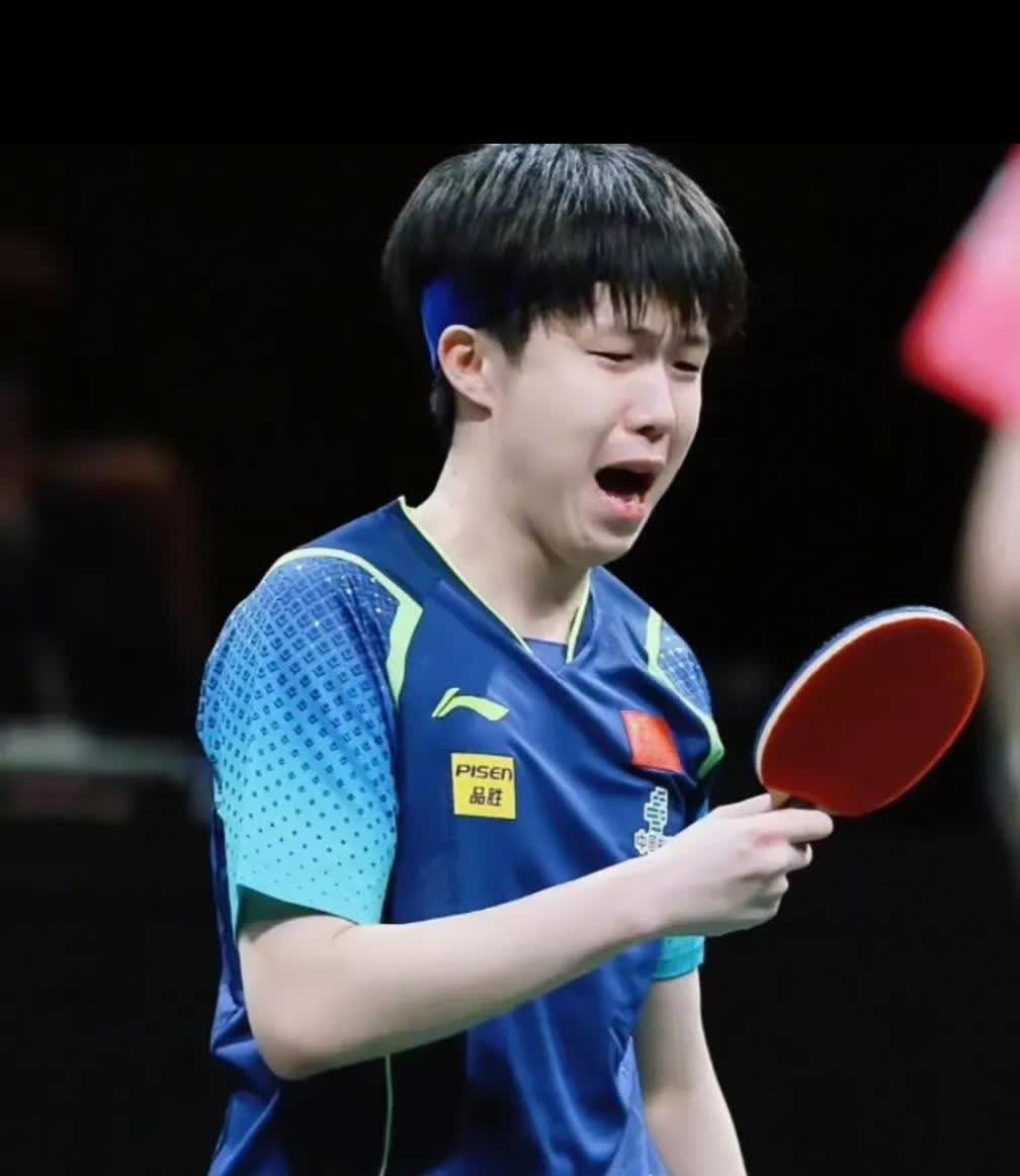 奥地利队翻盘葡萄牙队,许昕高光表现 奥地利队翻盘葡萄牙队,许昕高光表现